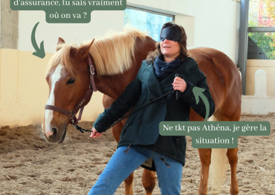 Equicoaching : Oser la confiance grâce aux chevaux ! – Paris